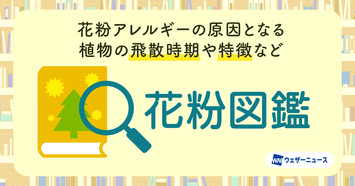 スギ花粉 飛散予測マップ 2025 - 日本気象協会 tenki.jp